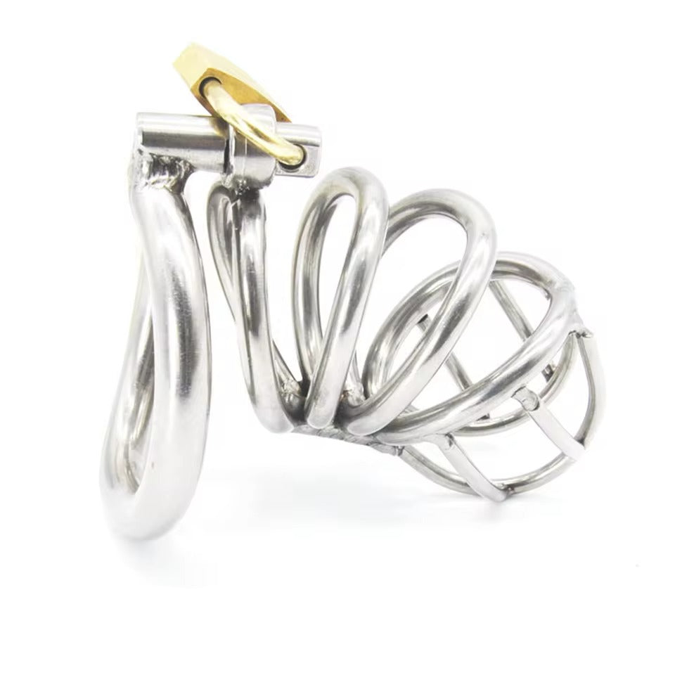 Male Chastity Bird Cage + Lock || Stainless Steel Gay Bondage || Lockable, 3 Ring Sizes || Curved Design for Personal Fit || Sissy Training
