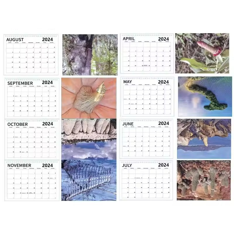 Unique "Nature Dick Pics" 2024 Calendar || Humorous Nature-Themed Wall Calendar || Ideal Christmas & New Year Gift || Funny Natural Cocks