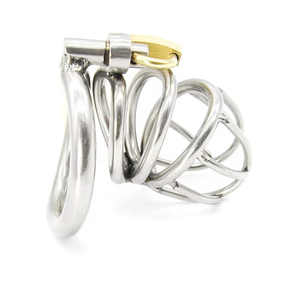 Male Chastity Bird Cage + Lock || Stainless Steel Gay Bondage || Lockable, 3 Ring Sizes || Curved Design for Personal Fit || Sissy Training
