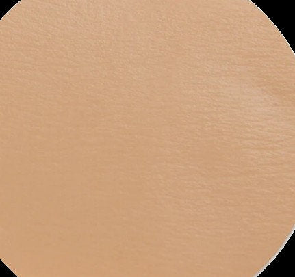 Silicone Fake Vagina Underwear for Crossdressing || Penis Concealment Drag Queen Sissy Pants|| Ivory, Light Beige, Tan || Discreet Shipping