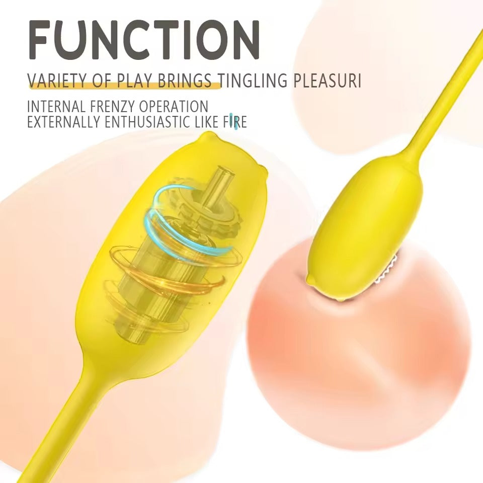 2-in-1 Clit and Vagina Plug