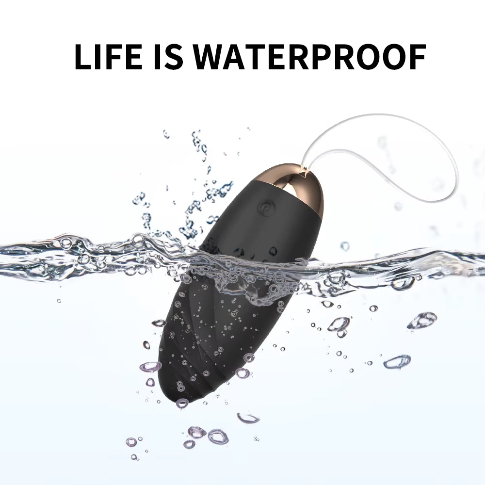 Wireless Vibrating Love Egg (remote controlled)