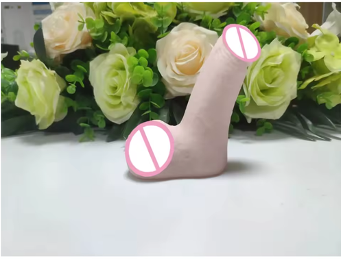 FTM Packer Prosthetic Penis