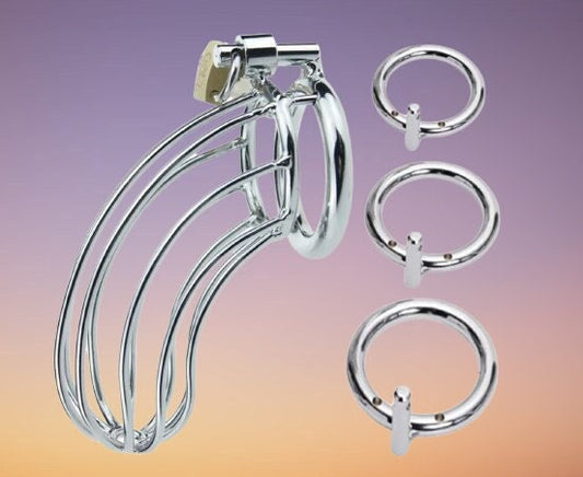 Male Chastity Bird Cage + Lock || Stainless Steel Gay Bondage || Lockable, 3 Ring Sizes || Curved Design for Personal Fit || Sissy Training