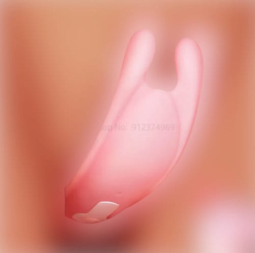 Dildo Vibrator Panties for Women || Clitoris Stimulator || Female and Vagina Massager || BDSM Couples Solo Erotic Toy for Hidden Public Play