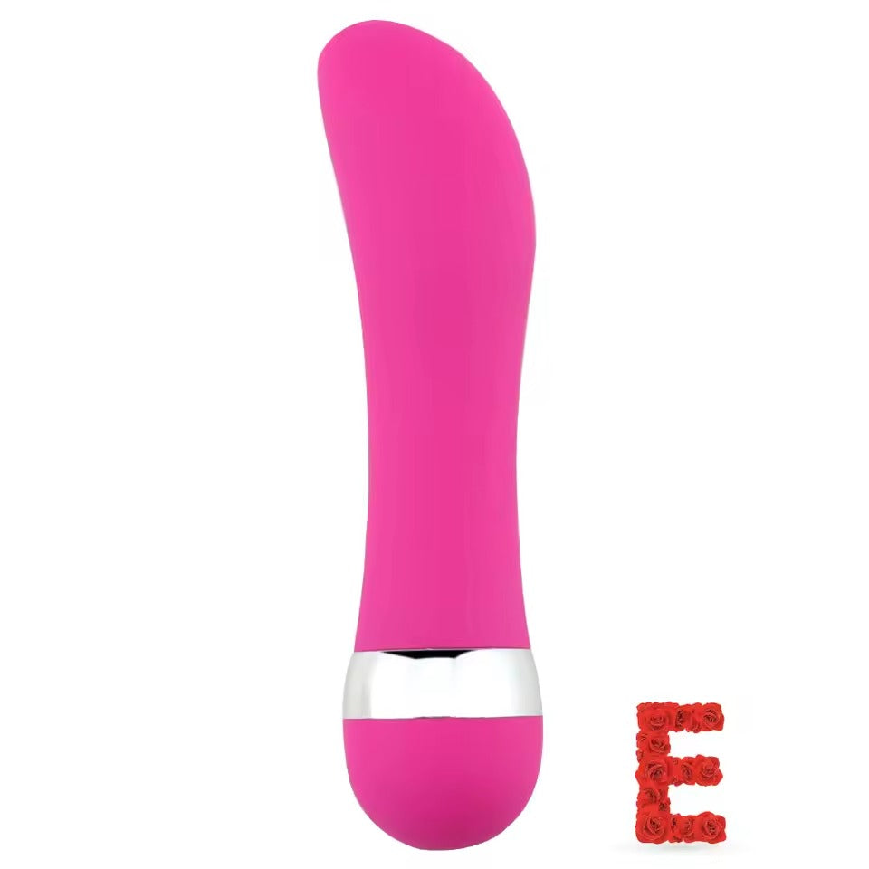 Multi-Speed Vibrator