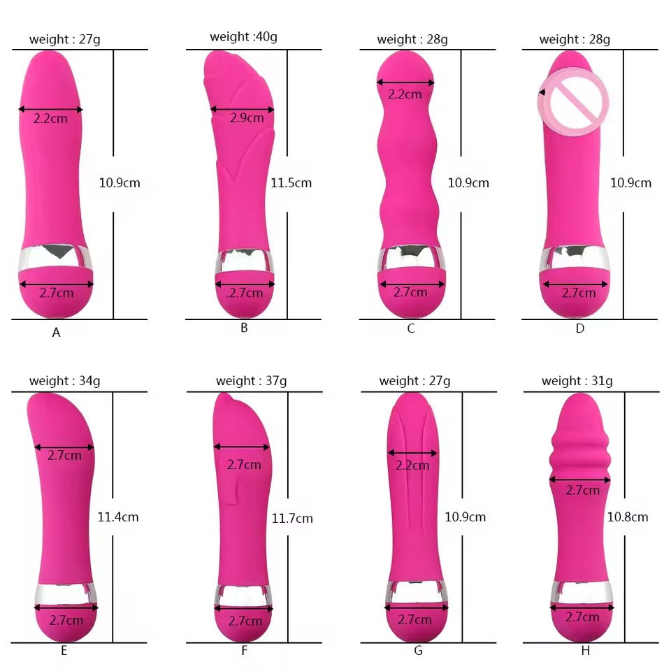 Multi-Speed Vibrator