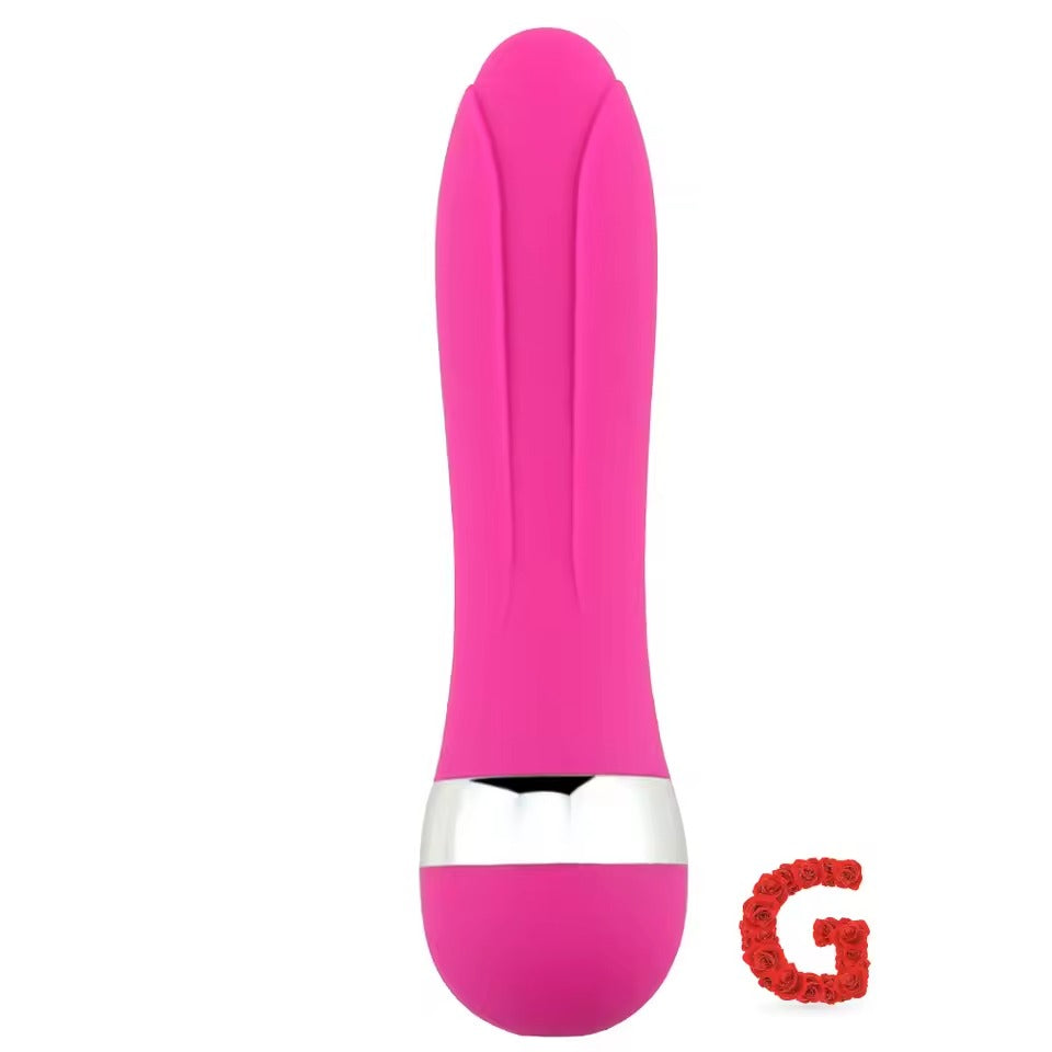 Multi-Speed Vibrator