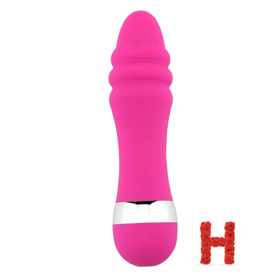 Multi-Speed Vibrator