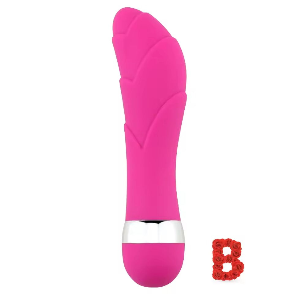 Multi-Speed Vibrator